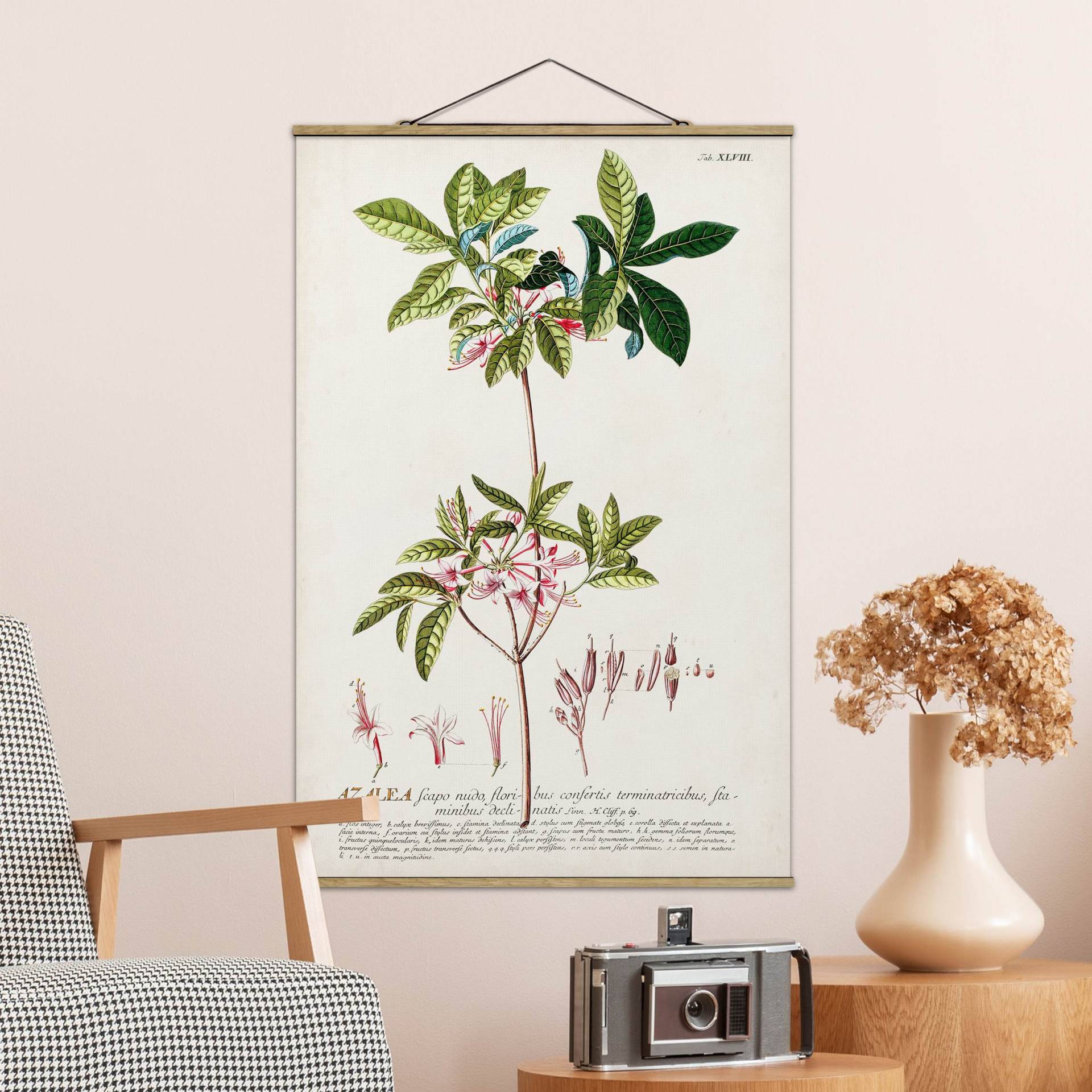 Stoffbild Blumen mit Posterleisten - Hochformat Vintage Botanik Illustration Azalee