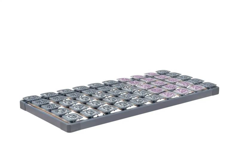 TEMPUR Tellerlattenrost  TEMPUR® Premium Flex 500 ¦ grau ¦ Maße (cm): B: 80 H: 11,5 Lattenroste > Lattenroste starr - Möbel Kraft
