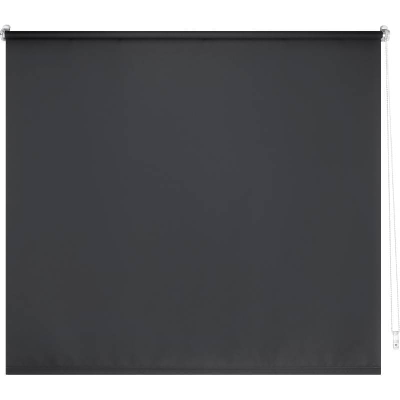 Tageslicht-Rollo Zamora 100 cm x 175 cm Grau