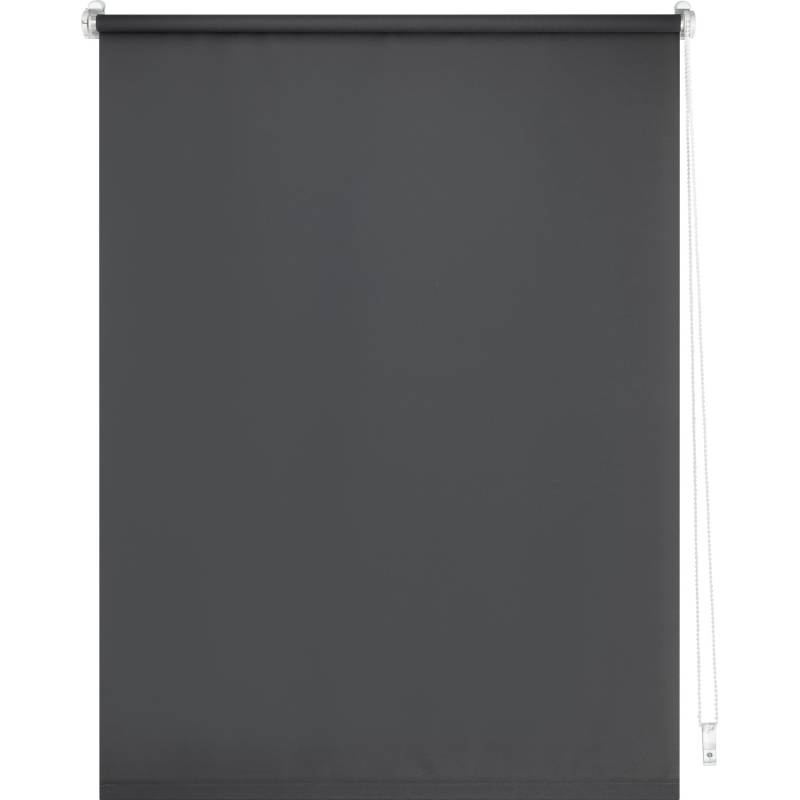 Tageslicht-Rollo Zamora 80 cm x 175 cm Grau