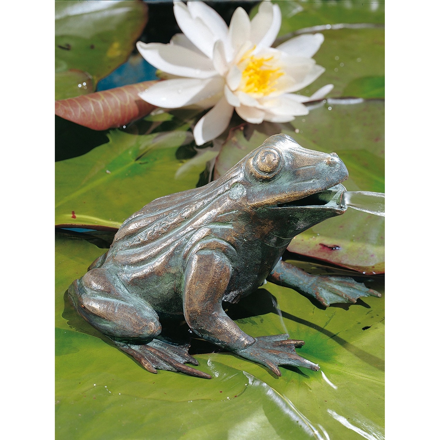 Teichfigur Wasserspeier Frosch Bronze HxBxT 11 x 16 x 13 cm von -