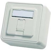 Telegärtner Modul-Aufnahme AP 80x80 1fach aws leer 100021381 von Telegärtner