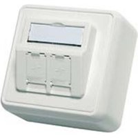 Telegärtner Modul-Aufnahme AP 80x80 2fach aws leer 100021382 von Telegärtner