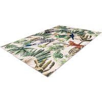 Obsession Teppich My Jungle Multi B/L: ca. 160x230 cm von Obsession