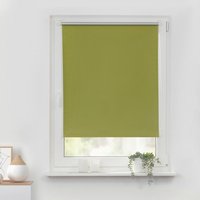 Thermo Klebe-/Klemmrollo Verdunklungsqualität grün B/L: ca. 90x220 cm von LICHTBLICK