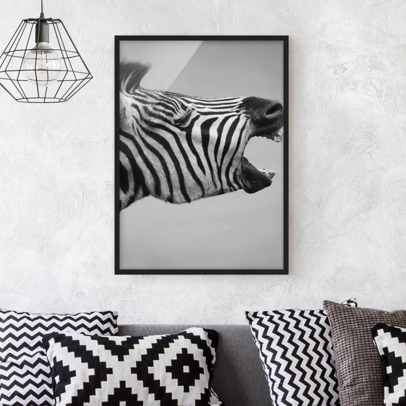 Tierbild mit Rahmen Brüllendes Zebra II