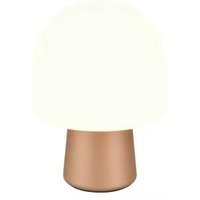 Tischleuchte 1xE14 Coffee / Glas Matt 1 Stück Metall Hellbraun, Weiß