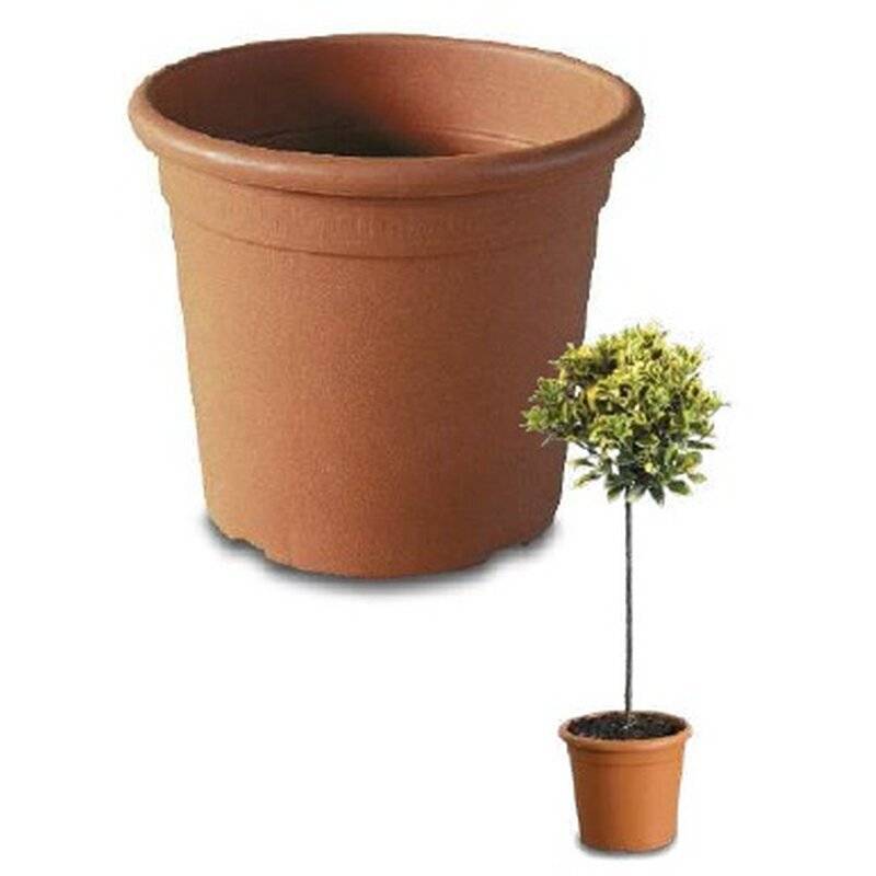 Topf Athena Rund Terracotta D:30cm 18L