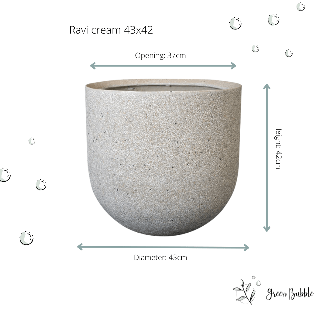 Topf Ravi creme Topf Ravi creme