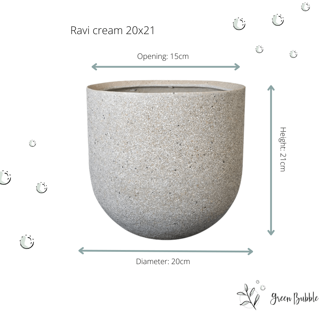 Topf Ravi creme Topf Ravi creme