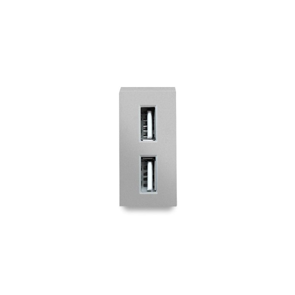 1/2 USB Dose Modul Grau LUXUS-TIME