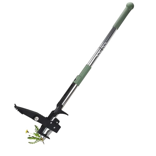 Unkrautstecher,Verbesserte Version Löwenzahn Entferner,Unkrautstecher Mit Langem Stiel,100cm Ergonomische Unkrautkralle mit 4 Hochfesten Edelstahlkrallen,Unkraut Werkzeug für Rasenflächen,Innenhöfe von Dechoga