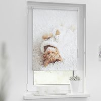 LICHTBLICK Verdunkelungsrollo Sleepy Cat weiß B/L: ca. 70x150 cm LICHTBLICK Verdunkelungsrollo Sleepy Cat weiß B/L: ca. 70x150 cm von LICHTBLICK