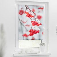 Verdunkelungsrollo Vogelbeeren rot B/L: ca. 45x150 cm Verdunkelungsrollo Vogelbeeren rot B/L: ca. 45x150 cm von LICHTBLICK