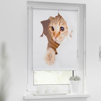Verdunkelungsrollo Katze weiß B/L: ca. 90x150 cm von LICHTBLICK