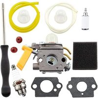 Ryobi - Vergaser-Set für RBC30SESA RBC30SBSA RLT30CESA RLT30SESA RPR3025JA. Ersetzt zama C1U-H60D und Homelite 26 cc und 30 cc Trimmer und von Ryobi