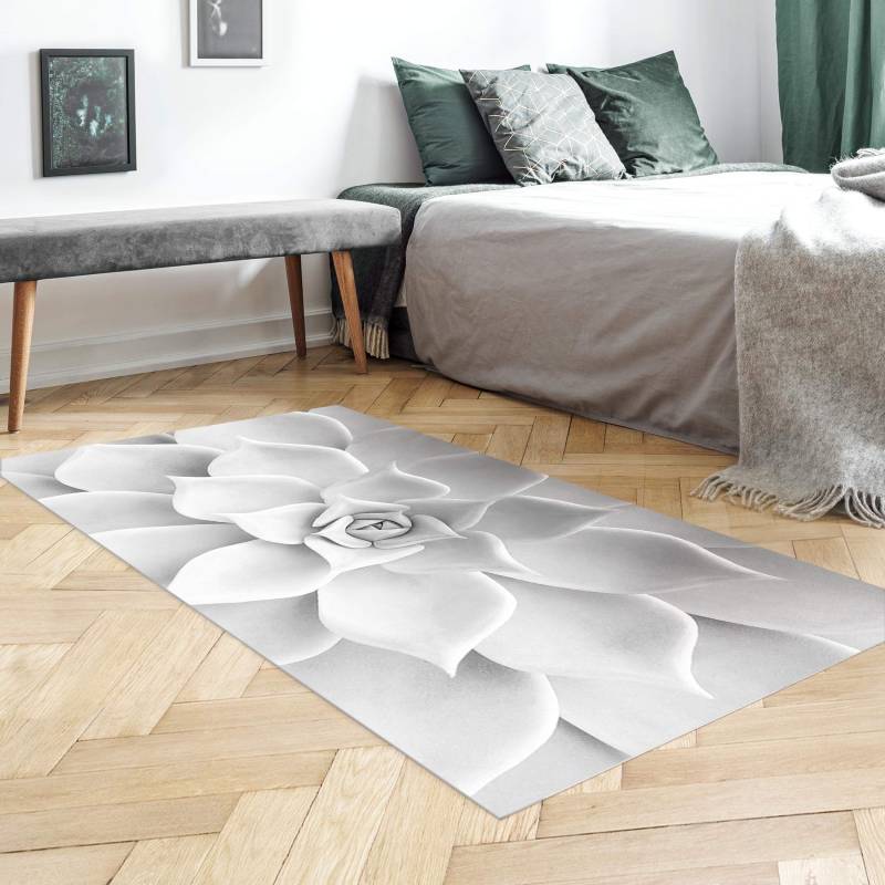 Vinylteppich Kaktus Sukkulente