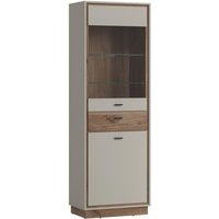 Vitrine RIVERO RIVV04 von Wojcik Kieselgrau Flagstaff Eiche Dunkel