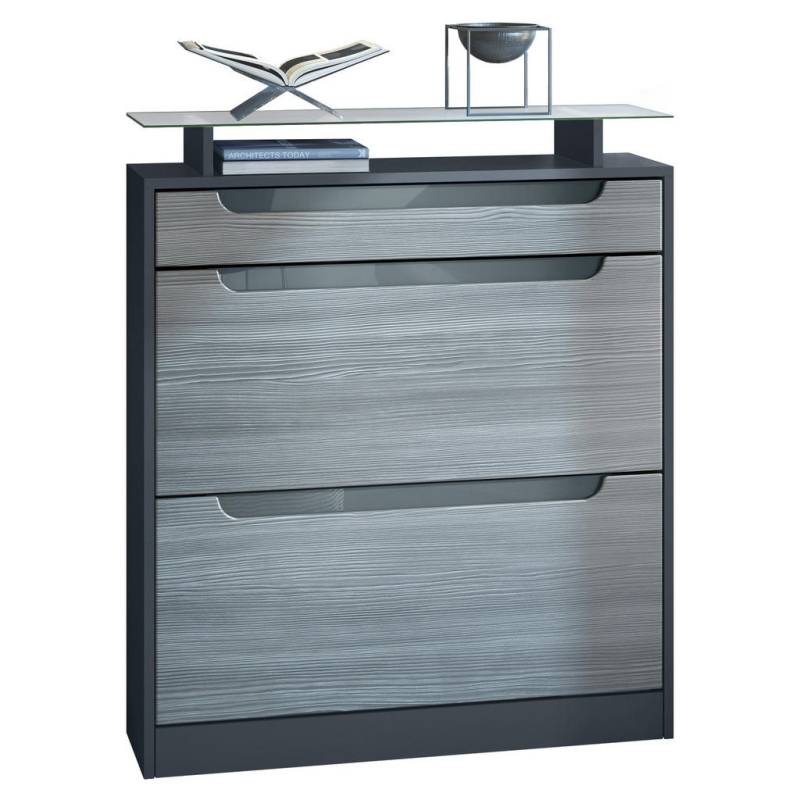 Vladon SCHUHSCHRANK Anthrazit