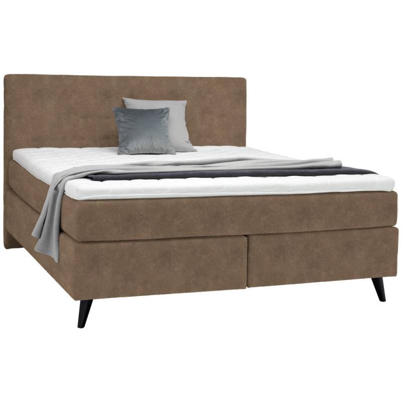 Voleo BOXSPRINGBETT Braun