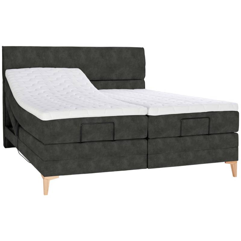 Voleo BOXSPRINGBETT Dunkelgrau