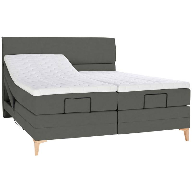 Voleo BOXSPRINGBETT Grau