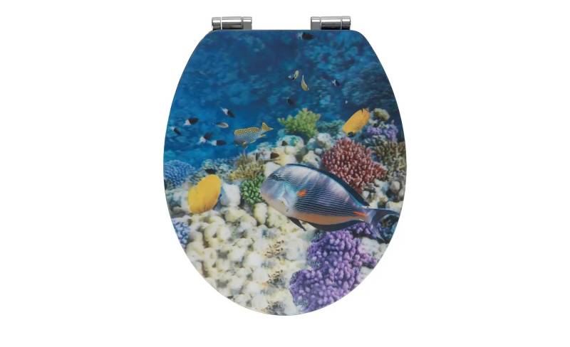 WC Sitz   ¦ blau ¦ Kunststoff ¦ Maße (cm): B: 38 T: 44.5 Badaccessoires - Möbel Kraft