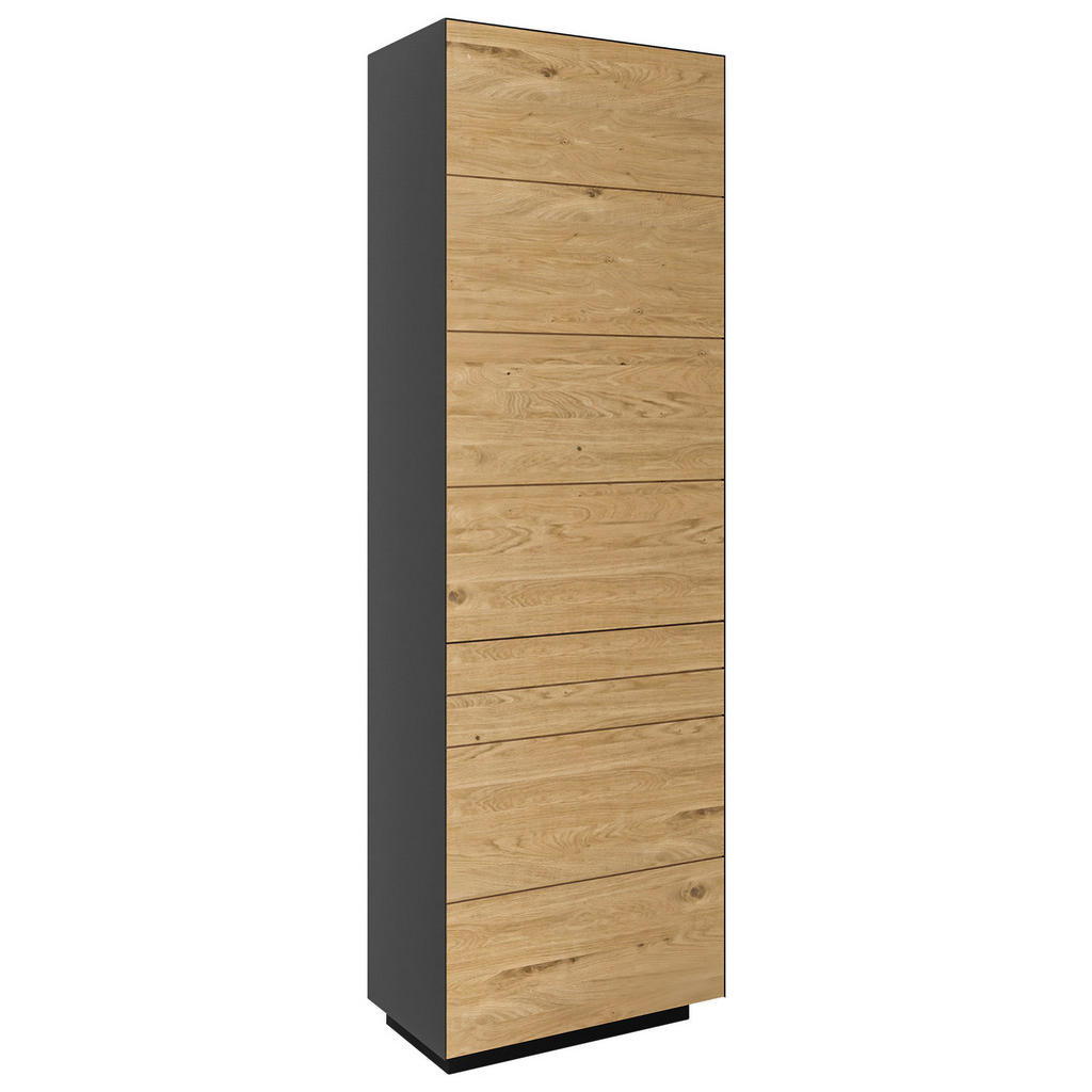 Dieter Knoll GARDEROBENSCHRANK Anthrazit, Wildeiche