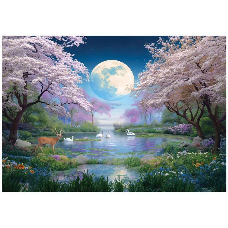 Wallarena FOTOTAPETE Mehrfarbig