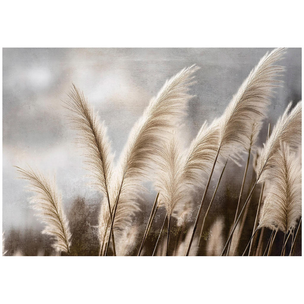 Wallarena FOTOTAPETE Mehrfarbig Wallarena FOTOTAPETE Mehrfarbig