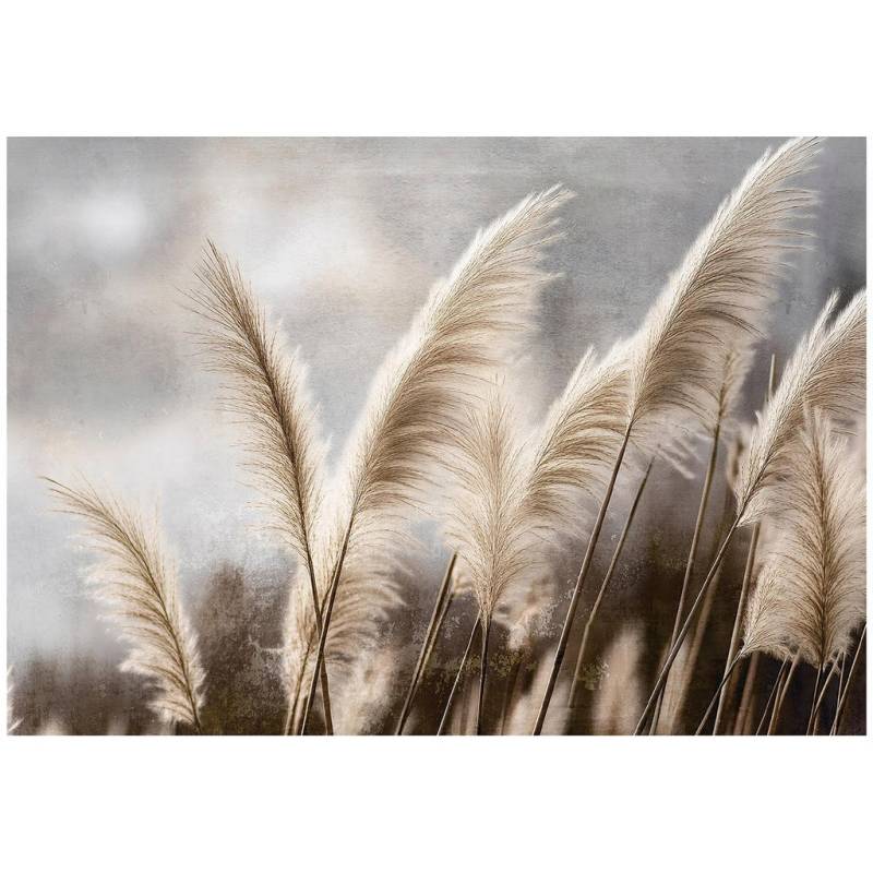 Wallarena FOTOTAPETE Mehrfarbig