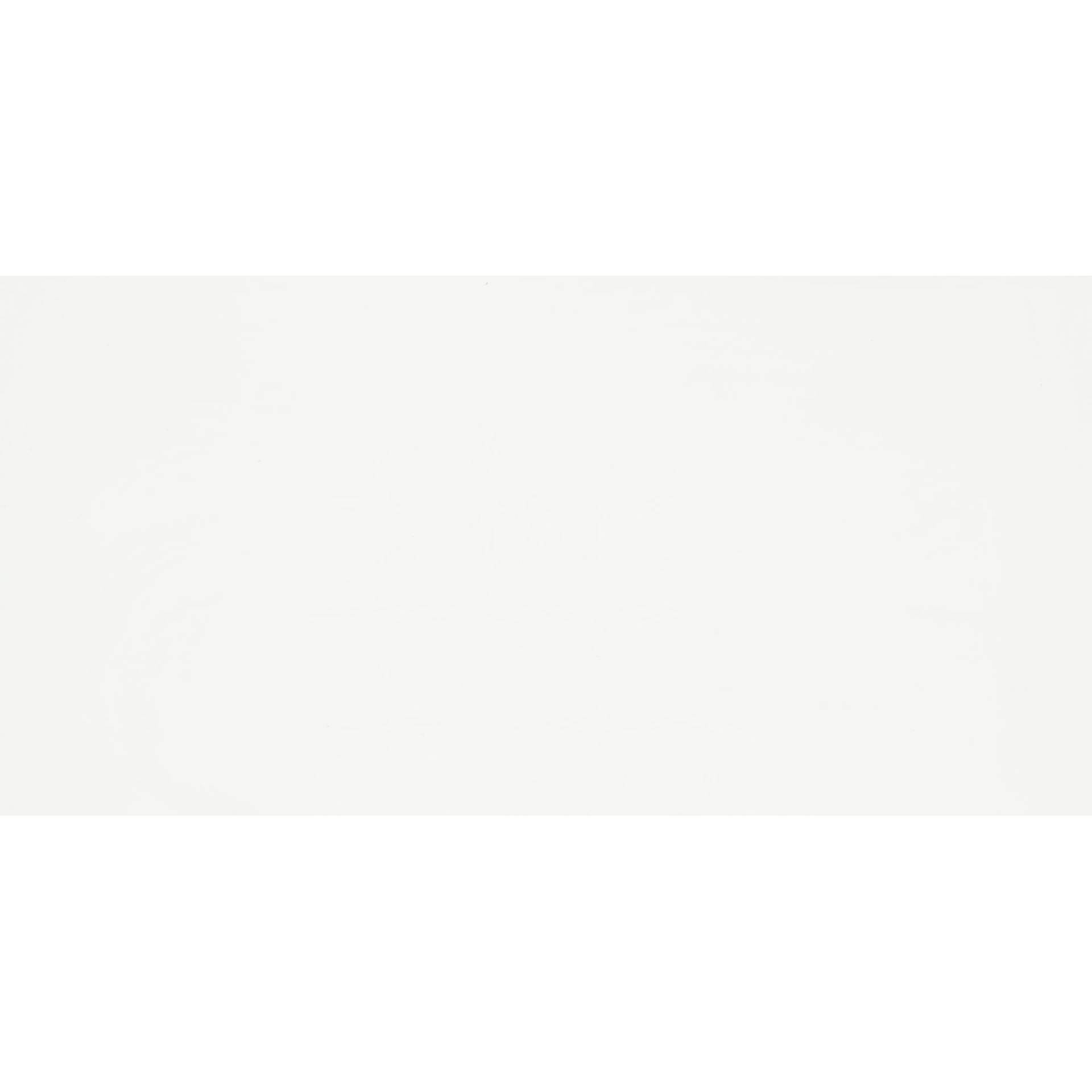 Wandfliese 'White Glossy' Steingut 30 x 60 cm weiß