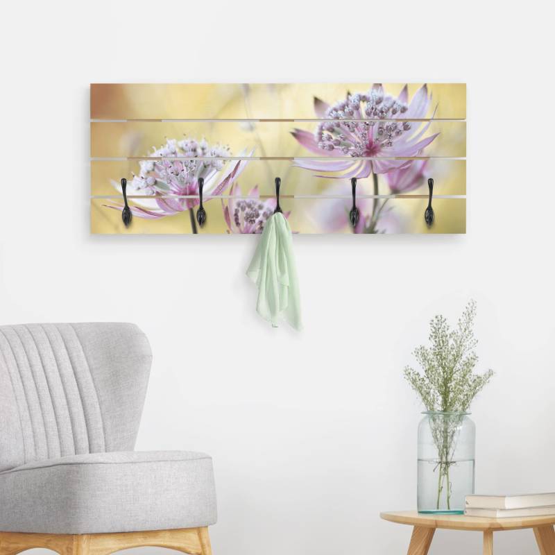 Wandgarderobe Astrantia Major