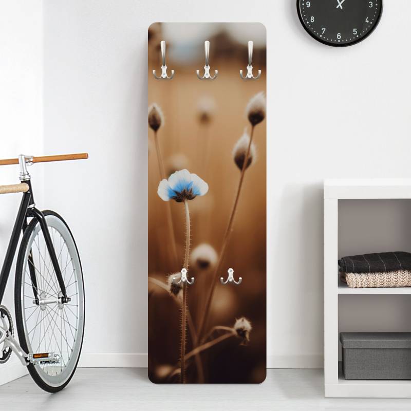 Wandgarderobe Kleine blaue Blüte