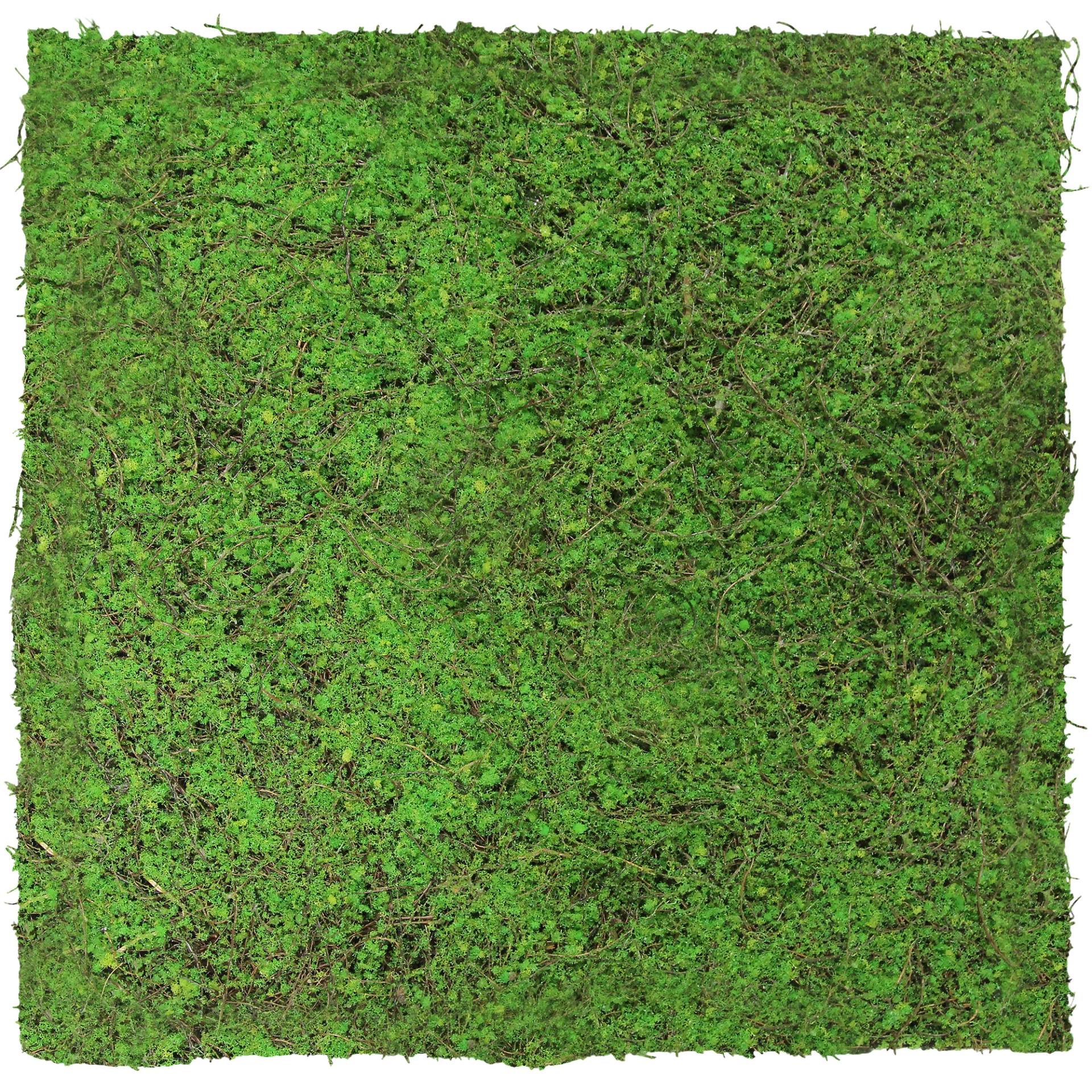 Jangal Wandpaneel 'Flora' Waldgrün 52 x 52 cm Jangal Wandpaneel 'Flora' Waldgrün 52 x 52 cm von Jangal
