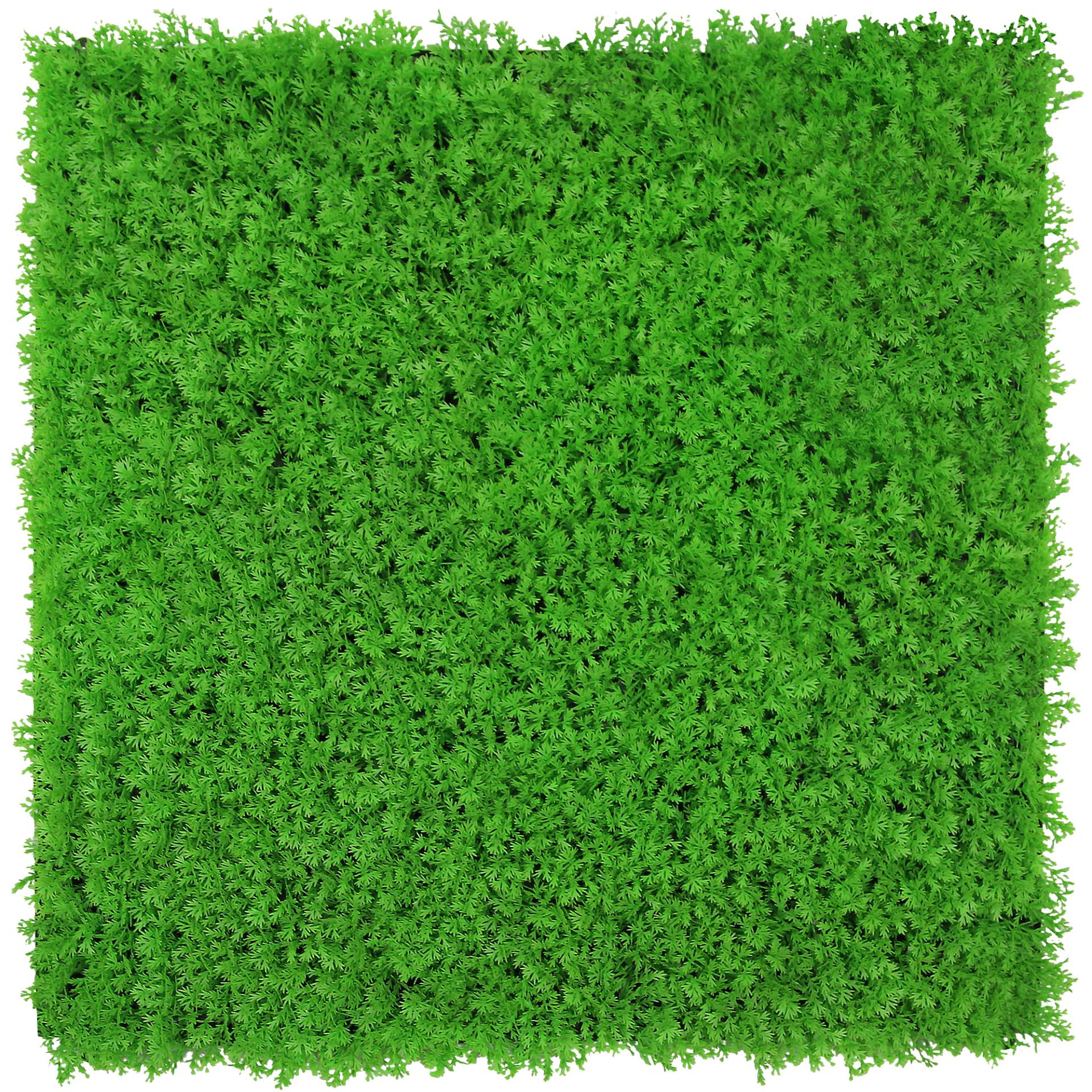 Jangal Wandpaneel 'Gras' hellgrün 52 x 52 cm Jangal Wandpaneel 'Gras' hellgrün 52 x 52 cm von Jangal