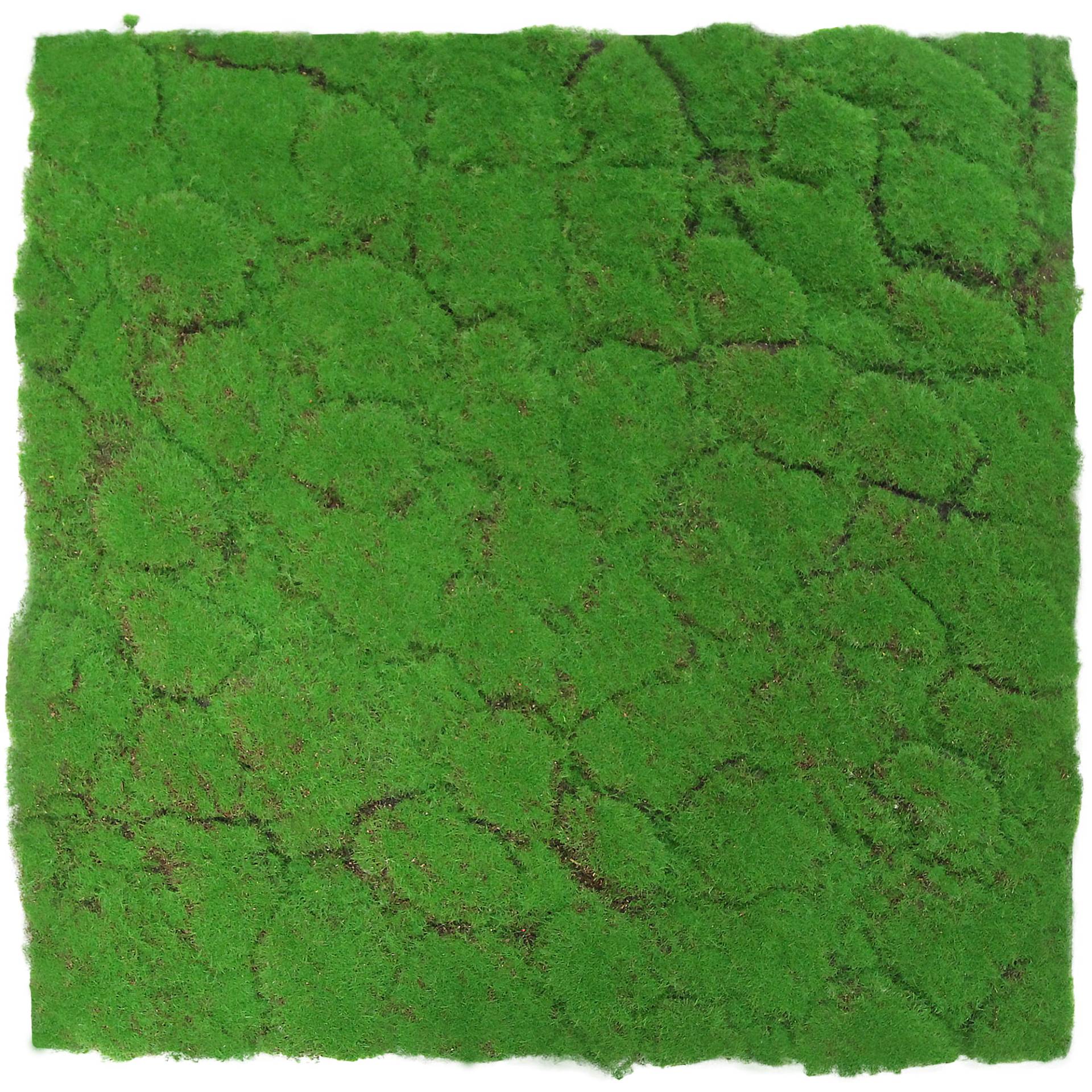 Jangal Wandpaneel 'Moos fein' Waldgrün 52 x 52 cm Jangal Wandpaneel 'Moos fein' Waldgrün 52 x 52 cm von Jangal