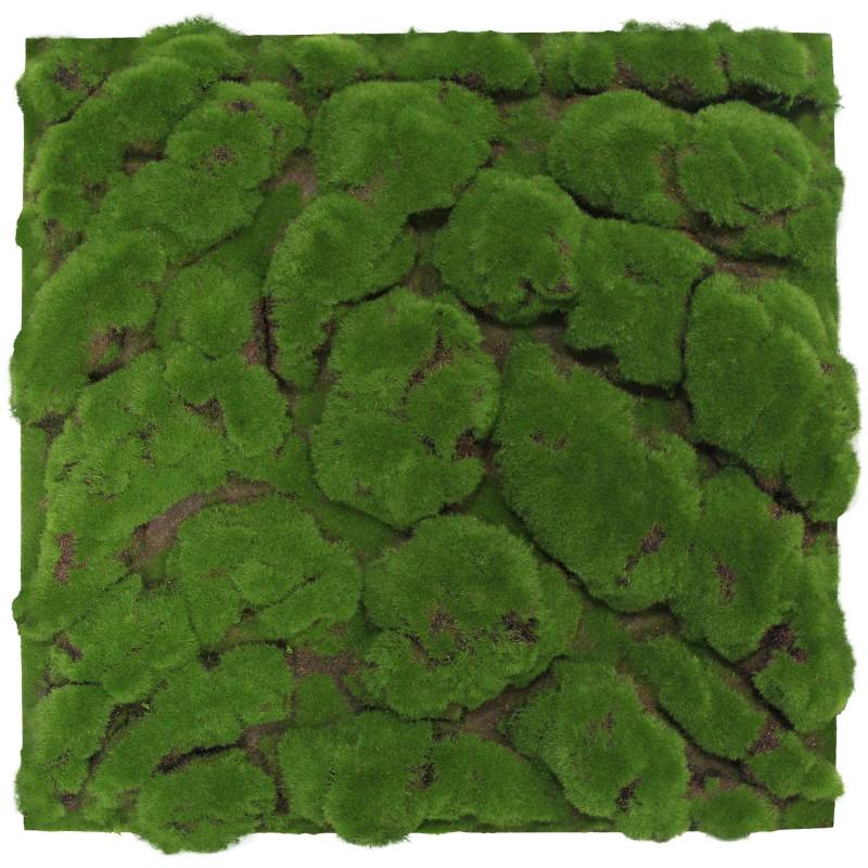 Jangal Wandpaneel 'Moos grob' Waldgrün 52 x 52 cm von Jangal