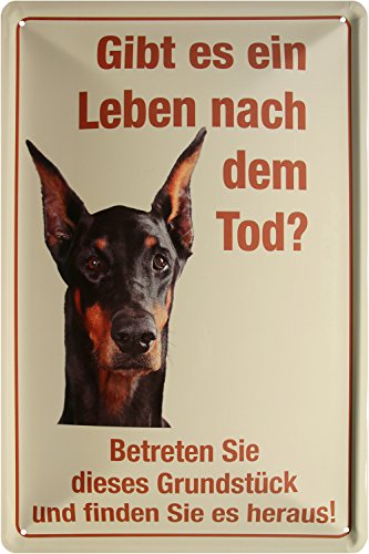 Warnschild Hier wache ich - Dobermann Hund Funny Blechschild 20x30 cm Blech 211 von Blechschild 20 x 30 cm
