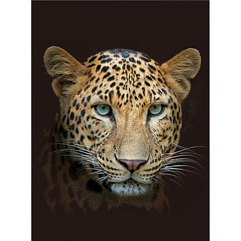 Wohndecke Leopard