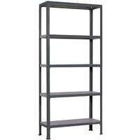 Proregal Wohnregal living koala metal mit 5 Fachböden HxBxT 180x100x30cm Fachlast 150kg Anthrazit/Dunkelgrau - Anthrazit von PROREGAL - ZERTIFIZIERTE QUALITÄTSPRODUKTE