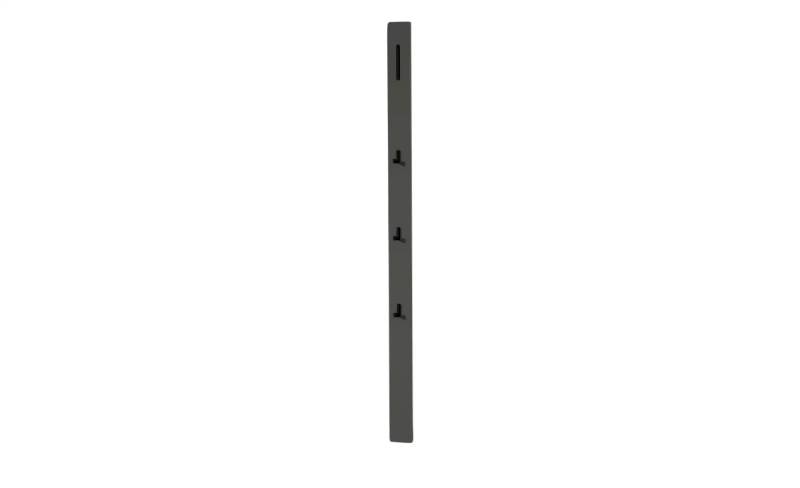 Wohnwert Garderobenpaneel  Leo ¦ grau ¦ MDF-Platte ¦ Maße (cm): B: 10 H: 165 T: 5.0 Garderoben & Kleiderstangen > Wandgarderoben - Möbel Kraft