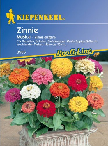 Sperli Blumensamen Zinnien Musica Mischung, grün von Sperli