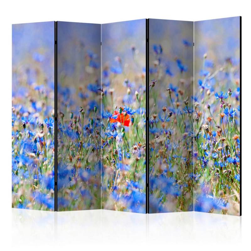 artgeist Paravent Hellblau, Hellgrün