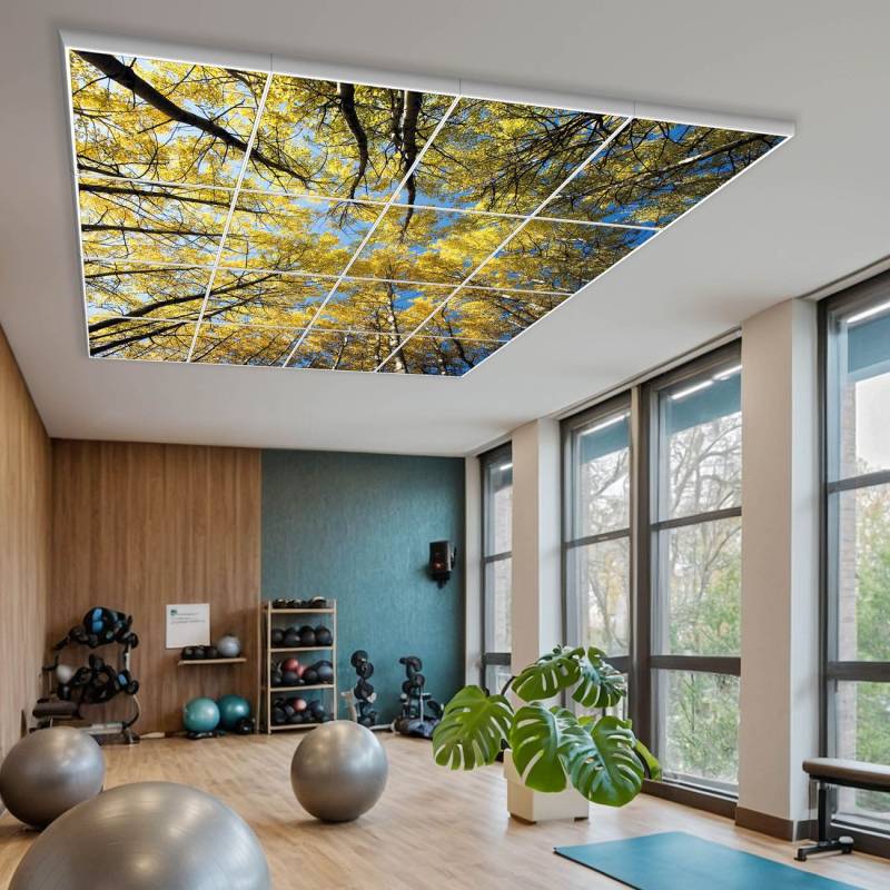 banjado Motivlichtdecke LED Deckenleuchte flach, Deckenpanel, Rasterdeckenleuchte Beleuchtung für Büro oder Praxis mit Motiv