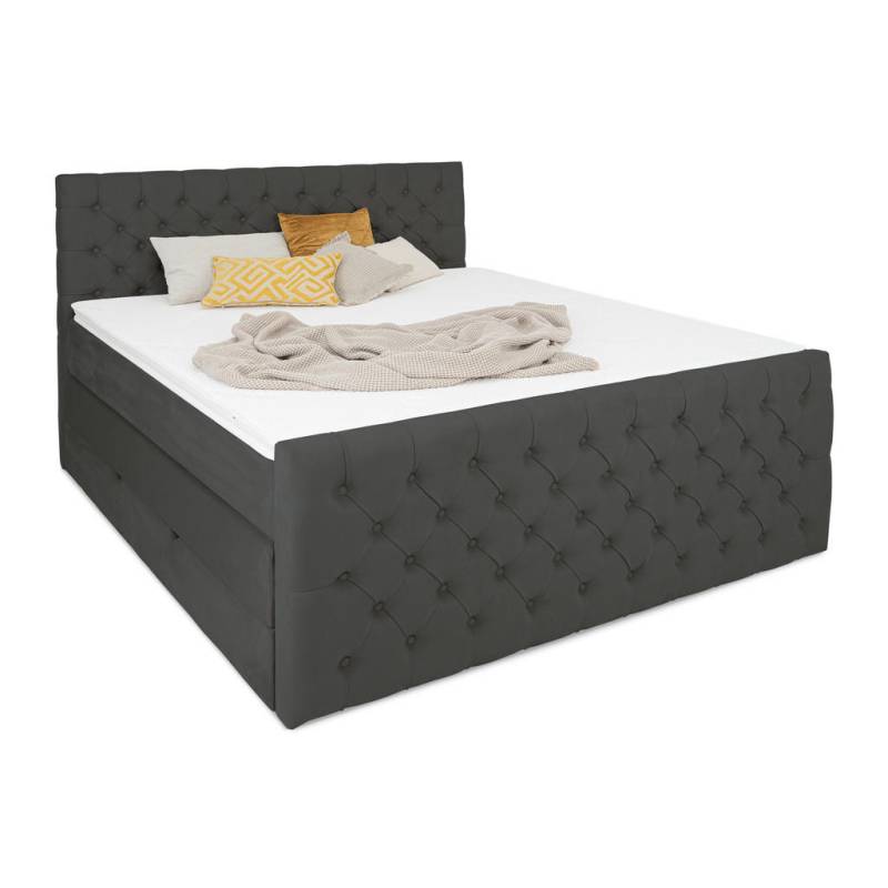 wonello BOXSPRINGBETT Anthrazit