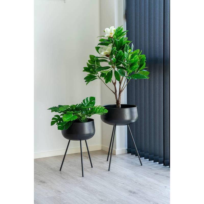 Blumentopf Ardola (2-tlg.) von home24