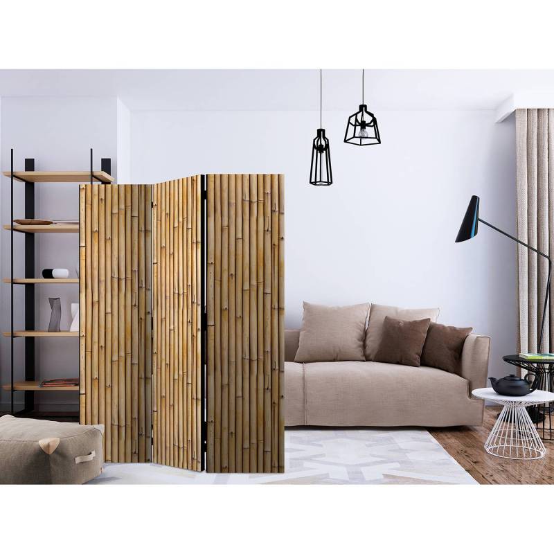 Paravent Amazonian Wall von home24