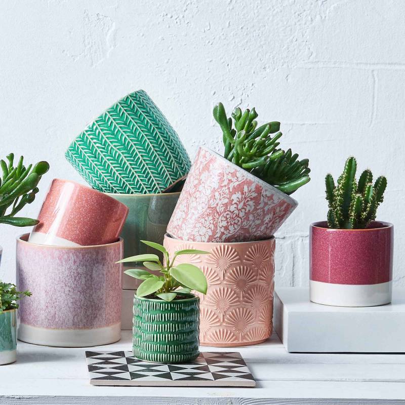 home24 Blumentopf 6er-Set Ø 10cm Grün/Grün von home24