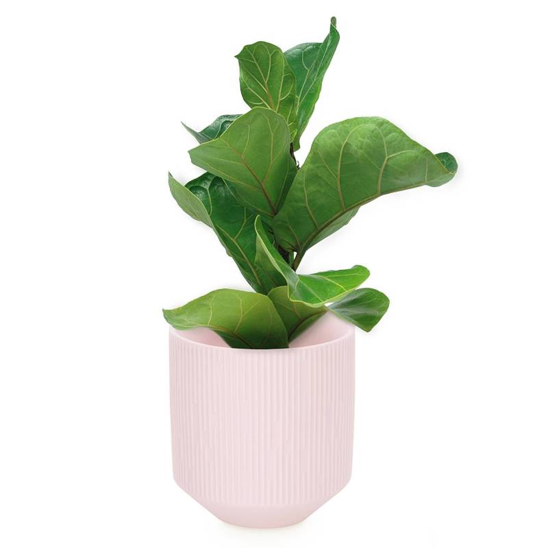 home24 Blumentopf Aso 9 x 10 x 9cm Pink/Hellrosa von home24